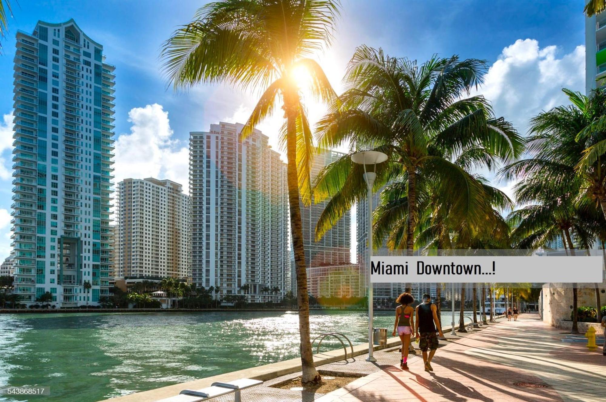 Experience The Perfect Miami Life!! Centrally Located Luxury Condo! Εξωτερικό φωτογραφία